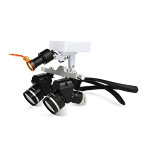 LK-T04Pro Ergo Loupes with Light